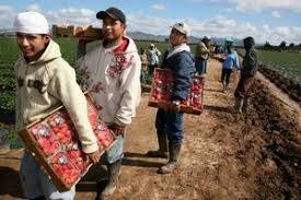 Denuncian judicialización de indígenas tras actividades de subsistencia en Guainía