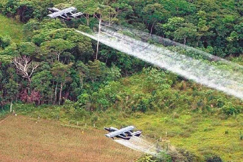 Comunidades Nasa denunciaron fallas en consulta previa tras aspersión con glifosato