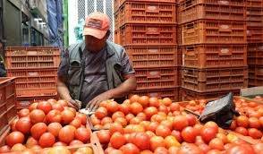 Precios de alimentos en Corabastos muestran estabilidad y algunas bajas