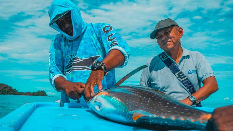 Pesca y acuicultura crecieron 18,2 % en primer trimestre de 2025