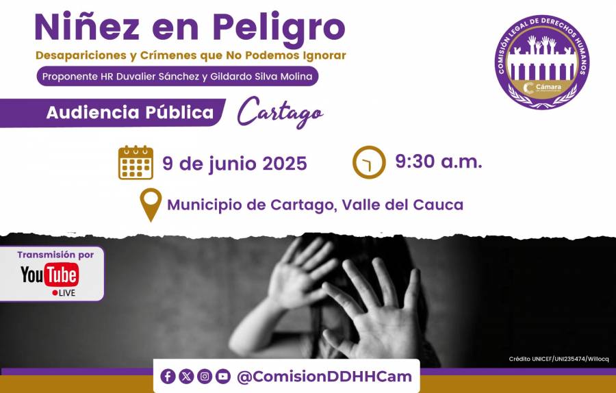 Audiencia Pública: Desapariciones y crímenes que no podemos ignorar, la niñez en peligro