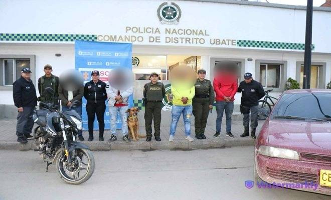 Cayeron los 