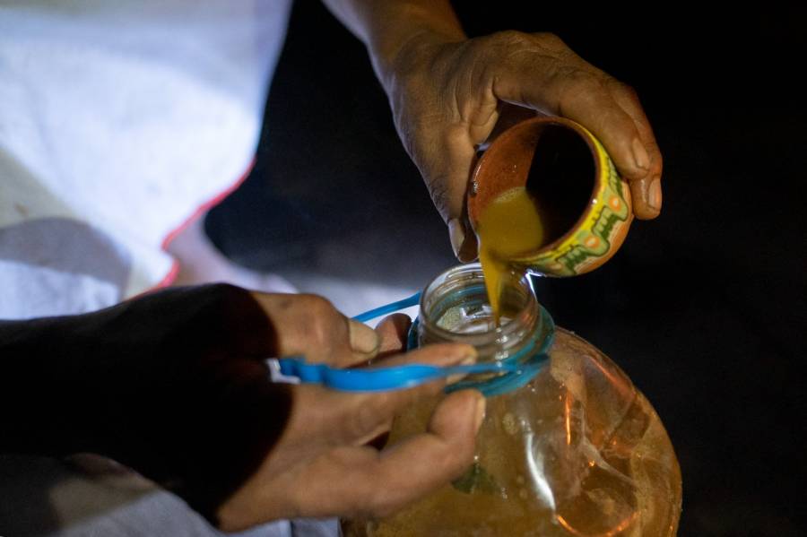 Fiscalía investiga muerte de estadounidense tras consumir ayahuasca en Amazonía peruana