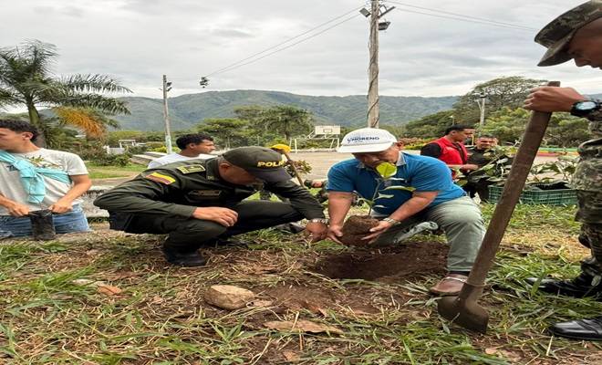 En el Huila sembramos 120 &aacute;rboles con la comunidad