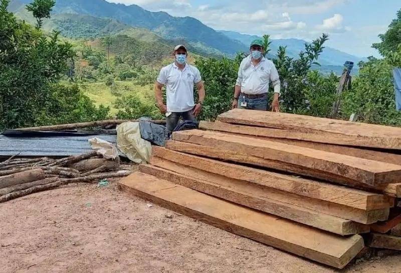 Detectan madera sin permisos en corralejas de Tolima y piden suspender construcciones