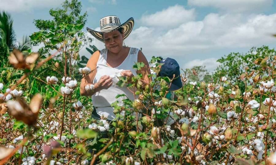 Gobierno lanza dos convocatorias para fortalecer producción de las mujeres rurales