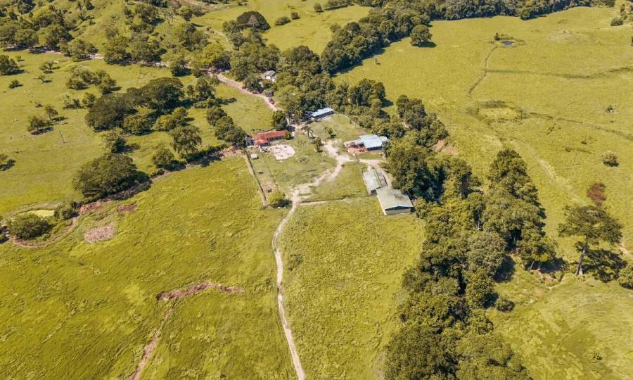 Recuperadas para el campesinado 3,000 hectáreas usadas por narcotraficantes y paramilitares