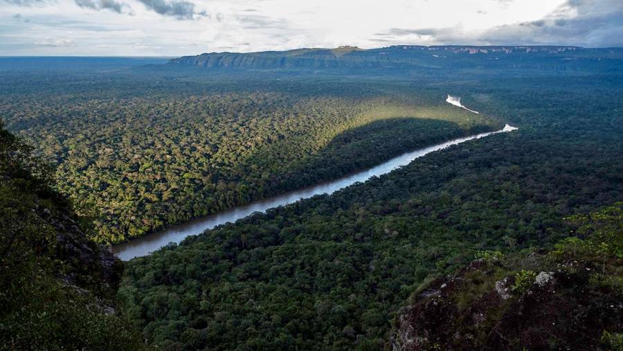 Nadie descubrió a nadie: la magia de Chiribiquete