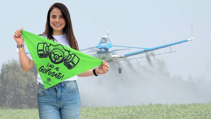 Senado avanza en prohibir el uso del glifosato en cultivos ilícitos