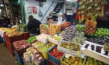 Abastecimiento de alimentos en Colombia crece 8,7%, impulsado por pescados y l&aacute;cteos