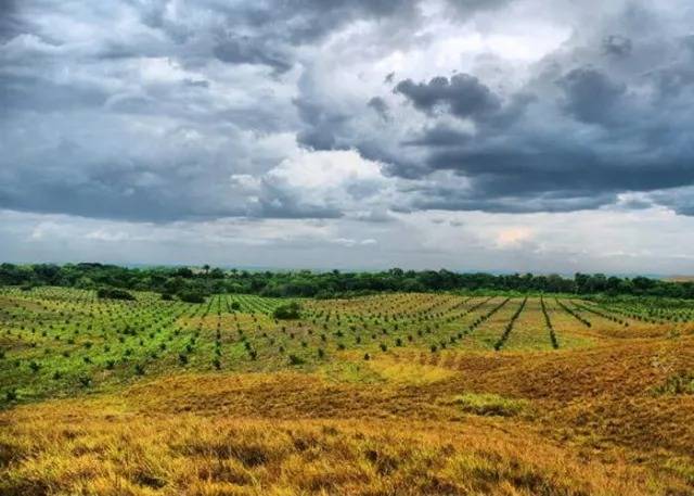 Investigan posible desv&iacute;o de 100 mil millones en convenio de tierras