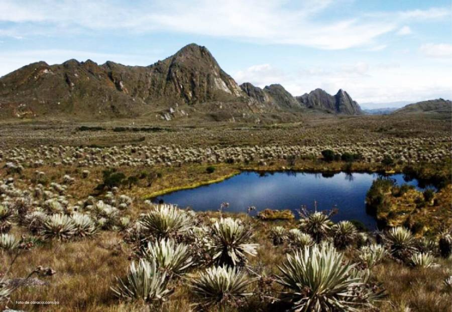 En delimitaci&oacute;n del P&aacute;ramo de Pisba, Procuradur&iacute;a insta al Ministerio de Ambiente a cumplir compromisos adquiridos con resguardo ind&iacute;gena