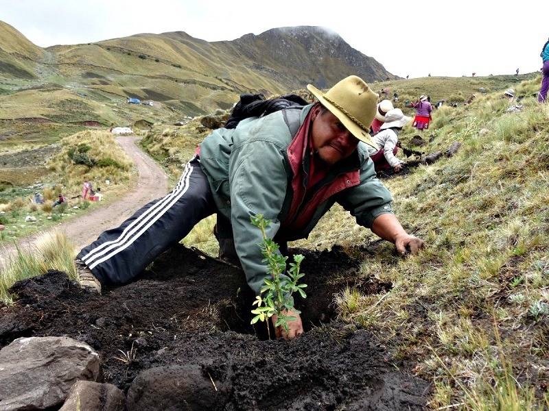 Falla t&eacute;cnica impidi&oacute; revisar informes sobre restauraci&oacute;n ecol&oacute;gica