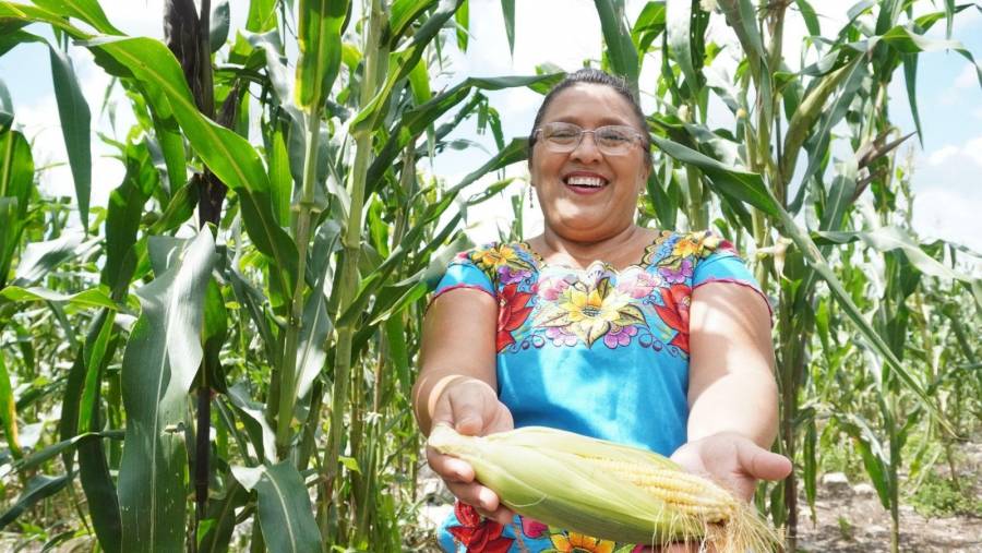 Gobierno defiende permanencia campesina en los p&aacute;ramos con respaldo ambiental